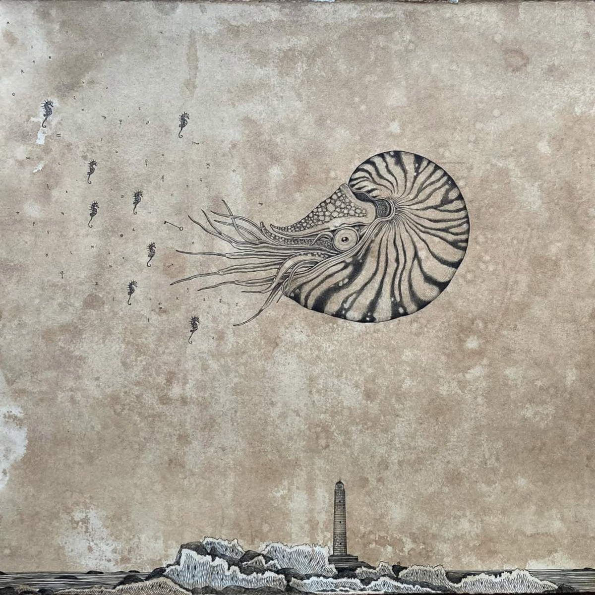 Andrea Collesano, NAUTILUS (Tusche auf Papier, 37 x 31 cm) Foto: Profil Ig Andrea Collesano