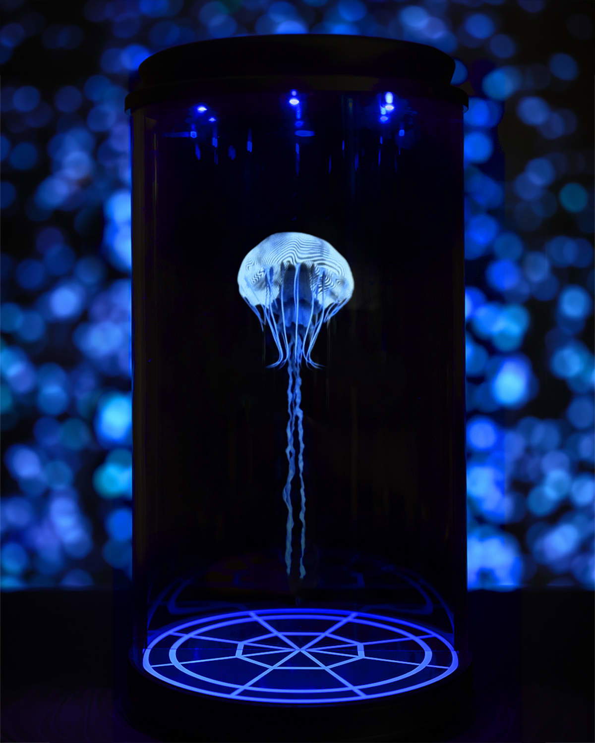 Andrea Crespi, view of the THETIS5 installation. Courtesy of One Ocean Foundation and ZEITGEIST19