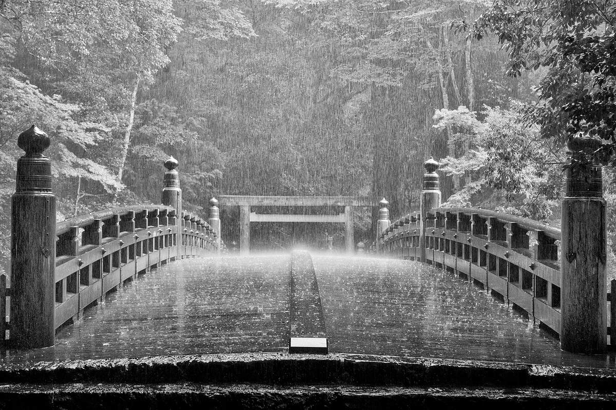 Andrea Lippi, Ise, 2019