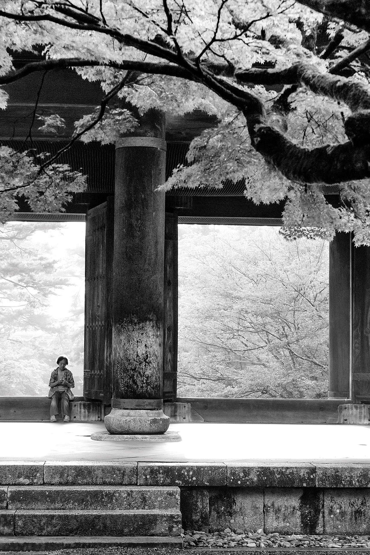 Andrea Lippi, Nanzen-Ji - Kyoto, 2016