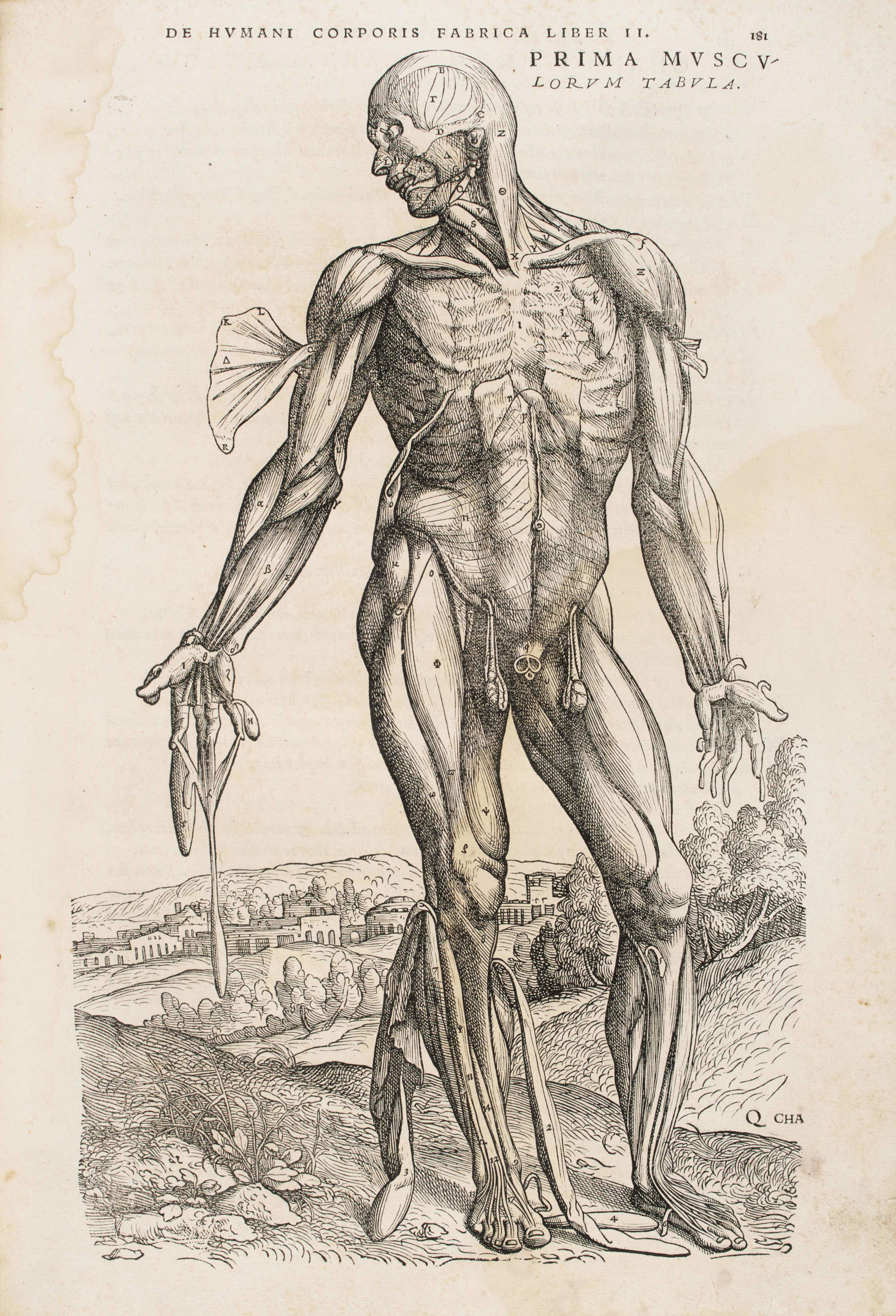 Andreas Vesalius, De humani corporis fabrica libri septem. Basilea: Johannes Oporinus, Giugno 1543. Foto: Wannenes