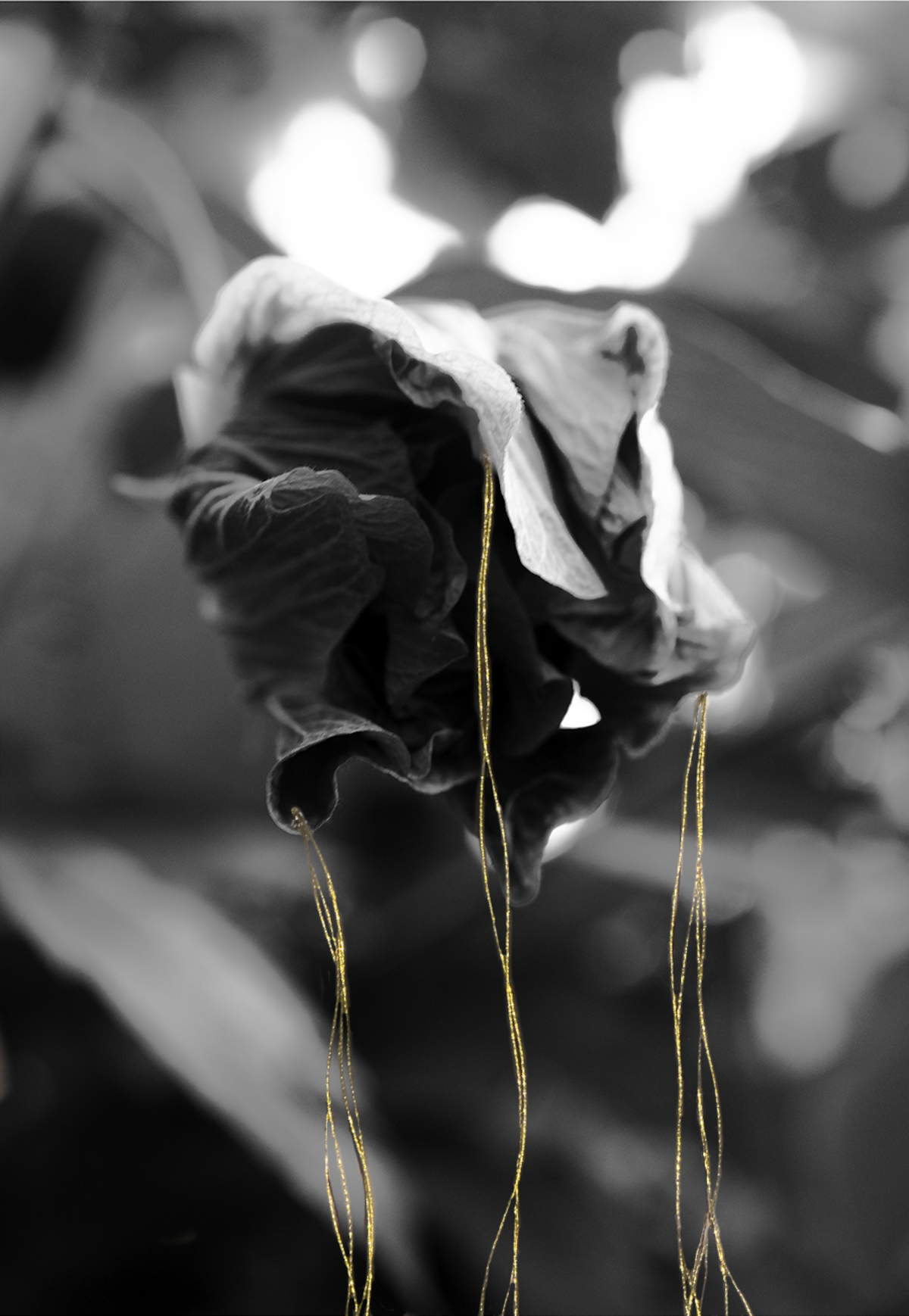 Photo: Anna Caterina Masotti