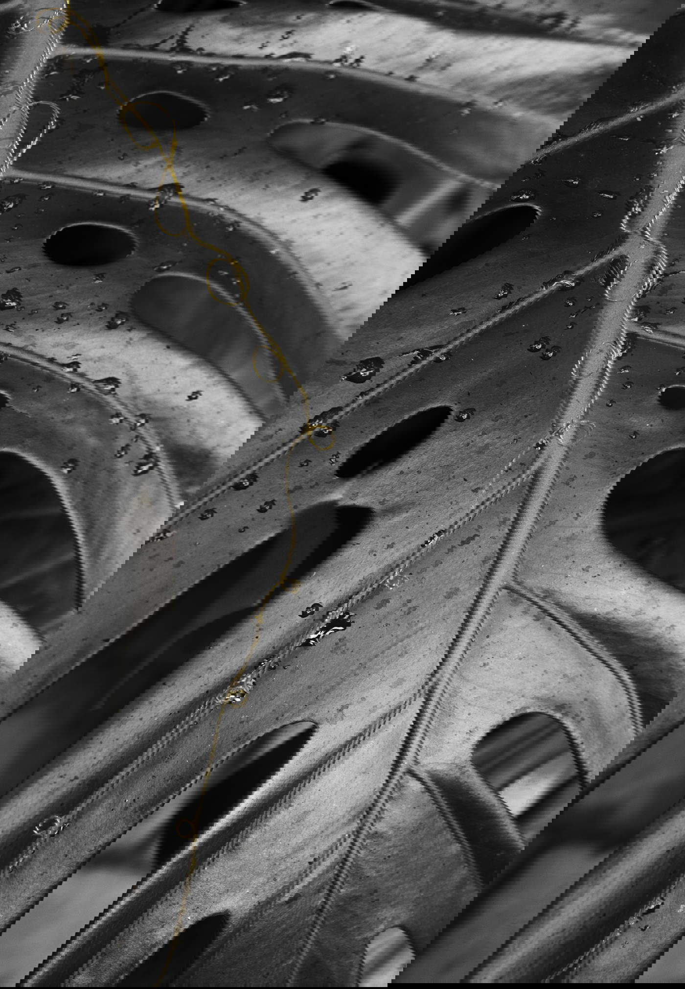 Photo: Anna Caterina Masotti