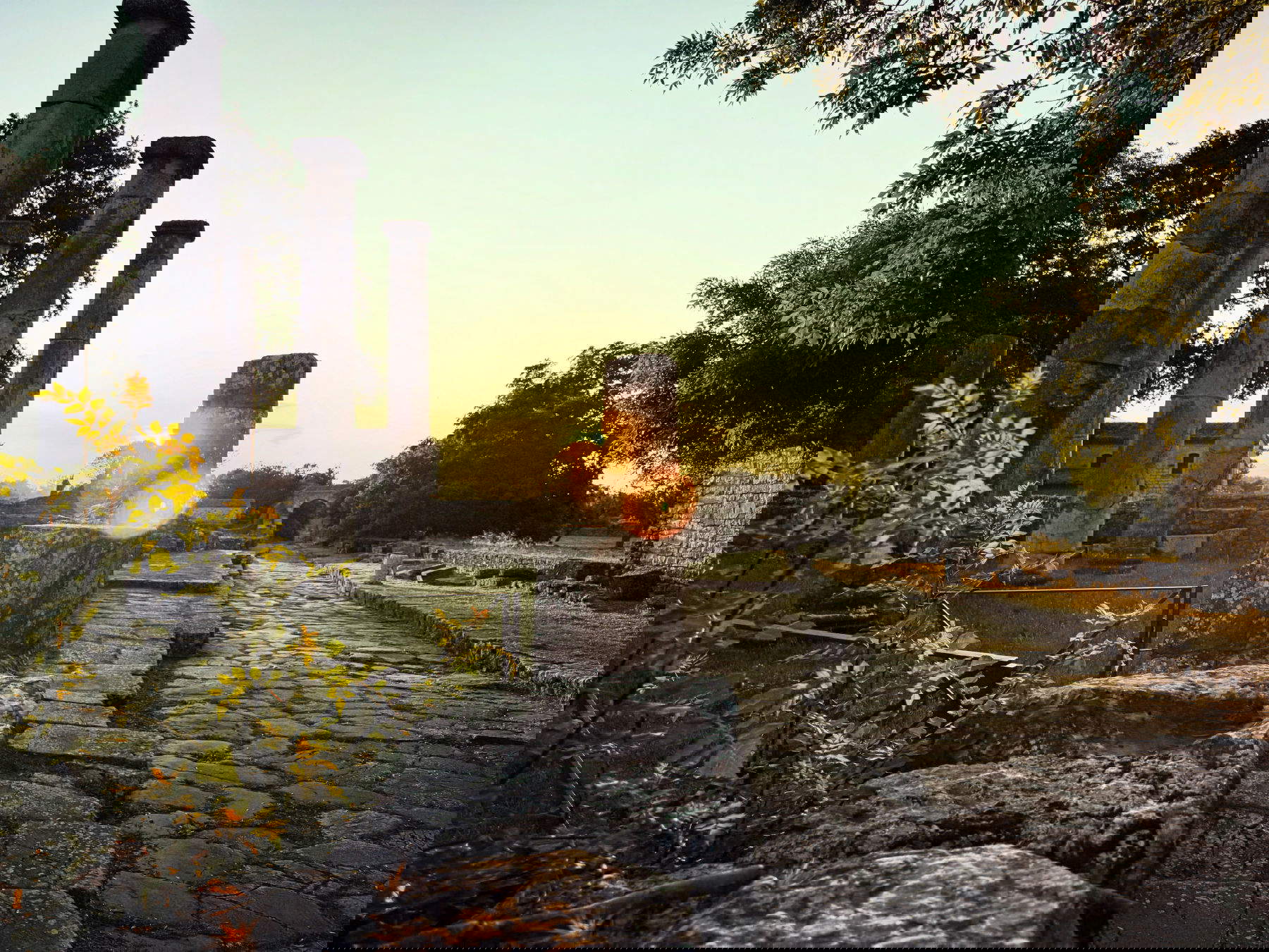 塞皮诺考古公园。照片：文化部 - 莫利塞国家博物馆地区管理局