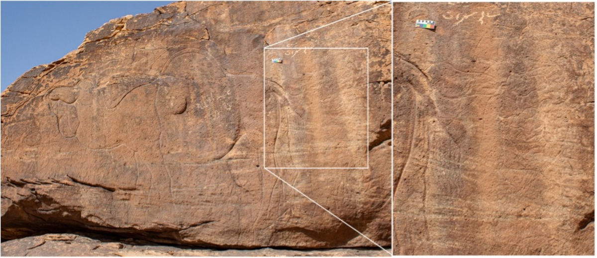 Lebensgroße Darstellungen von Kamelen und menschlichen Figuren