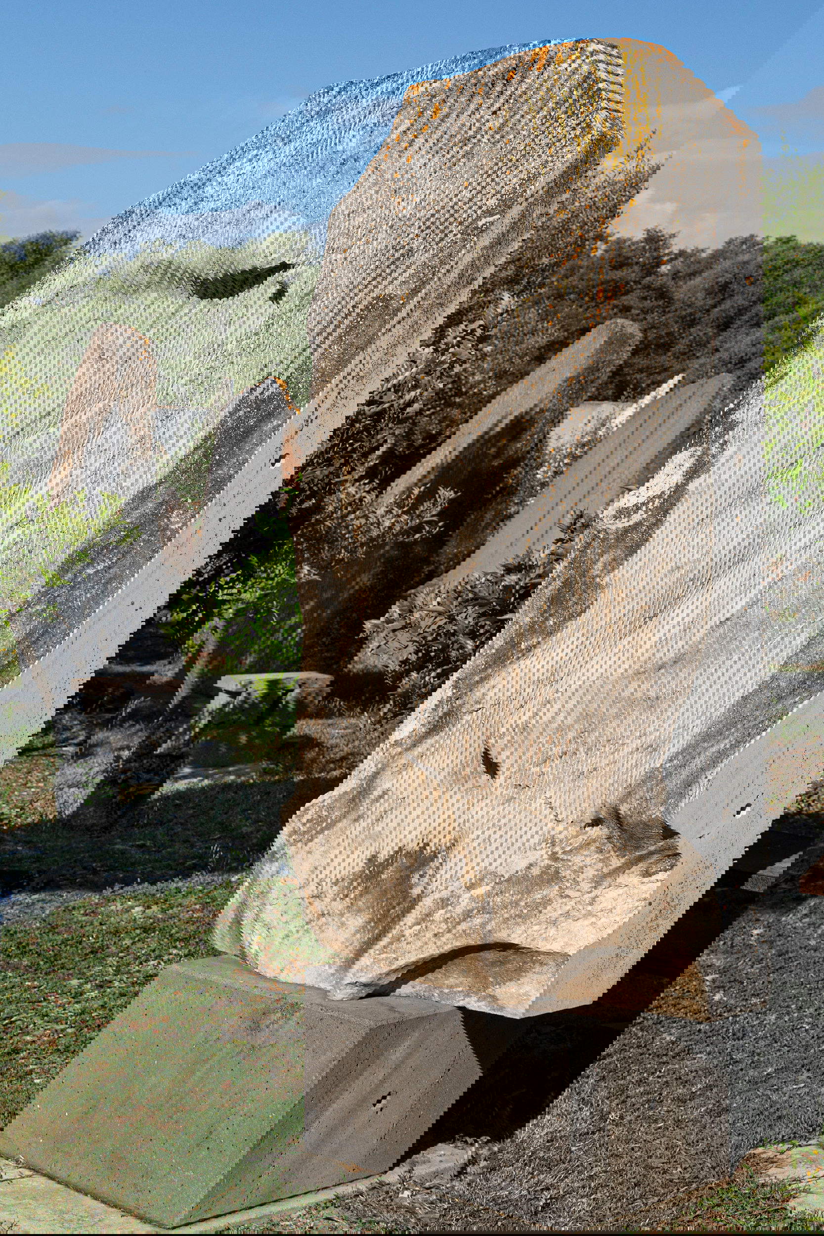 Archives de la Fondation Sciola. Pied : Nelly Dietzel