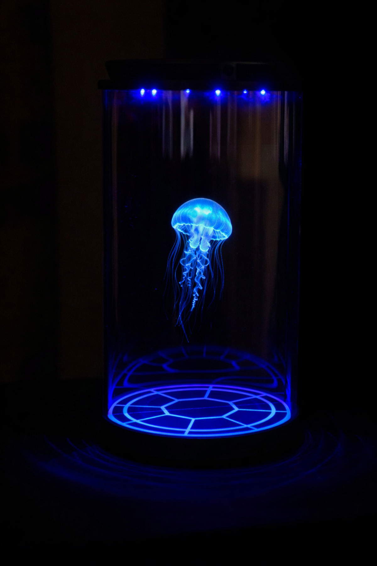 Andrea Crespi, Thetis