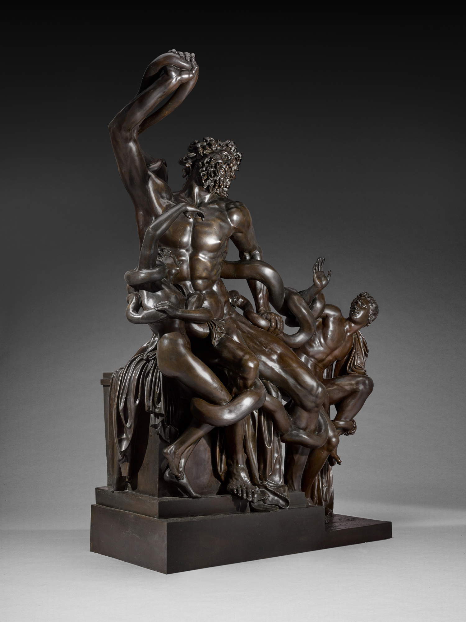 Auguste-Jean-Marie Carbonneaux, Laokoon Hamilton