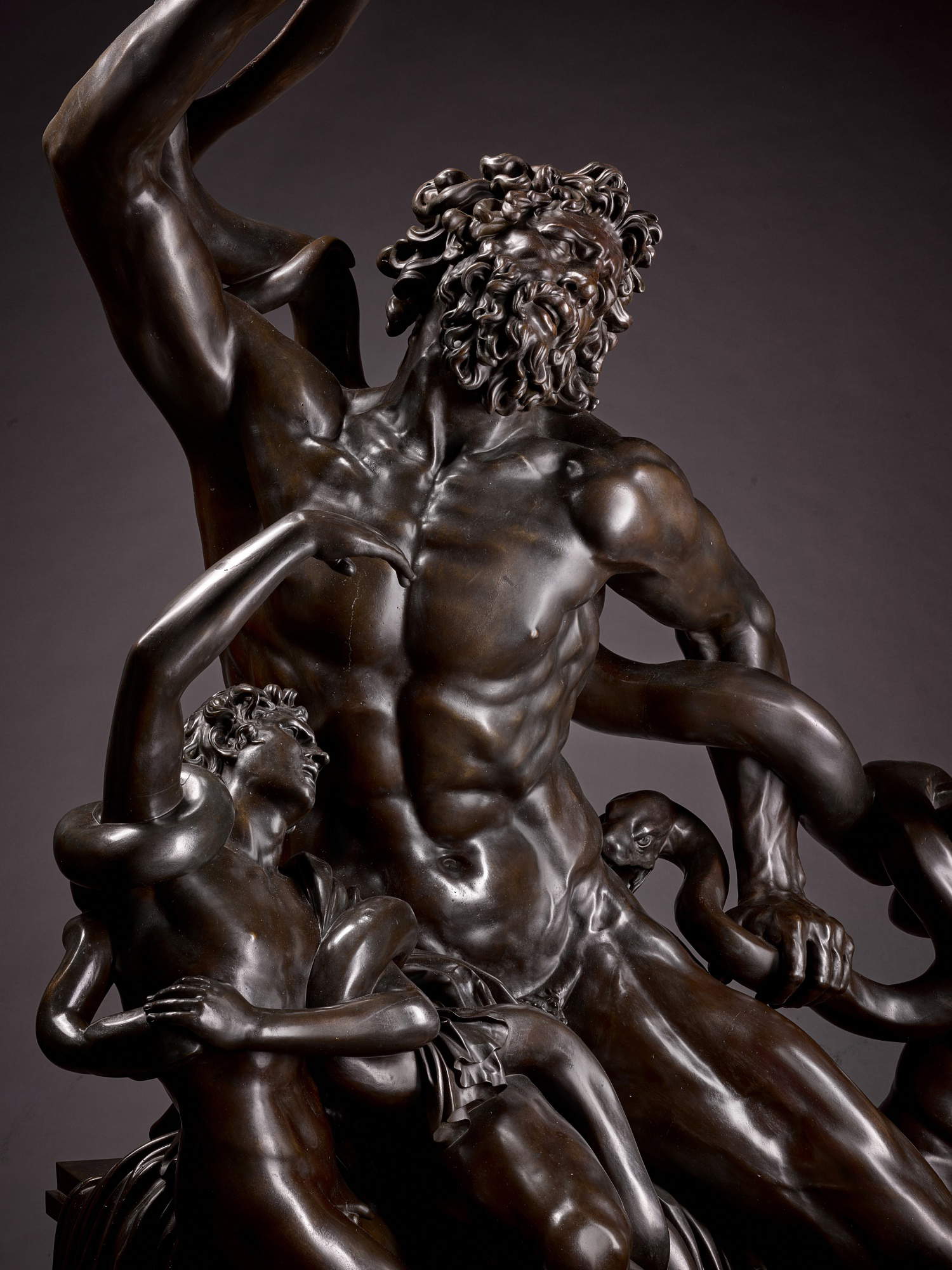 Auguste-Jean-Marie Carbonneaux, Laokoon Hamilton