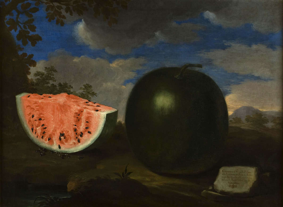 Bartolomeo Bimbi,&nbsp;Cocomero di Amerigo Baldi&nbsp;(1704; olio su tela, 97 x 131 cm; Firenze, Museo di Storia Naturale, Sezione Botanica, inv. collezioni 1930, n. 350)