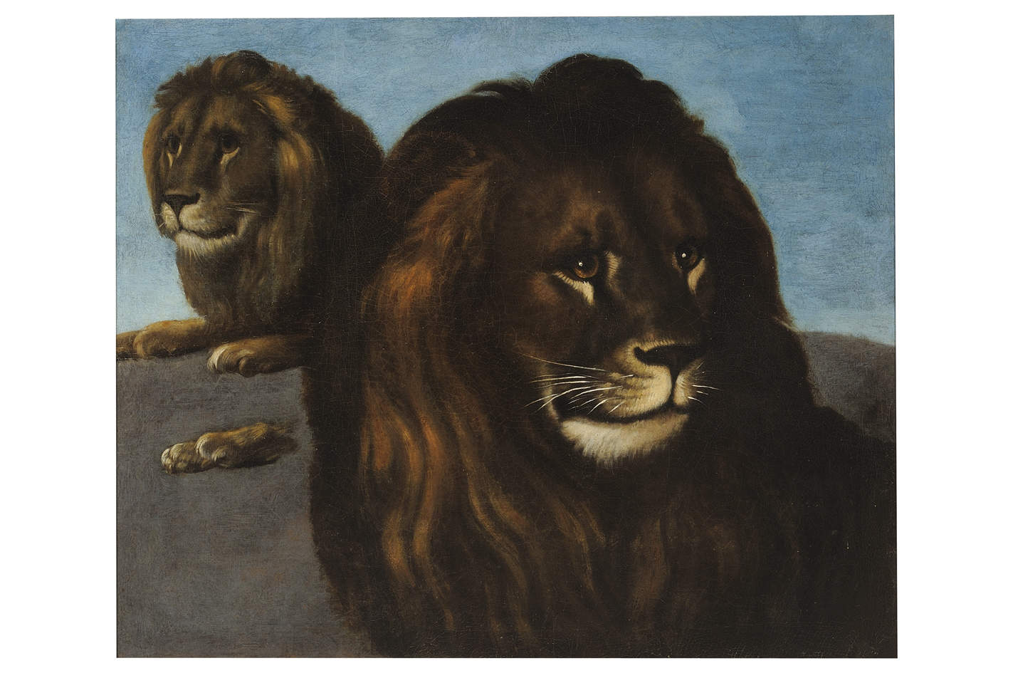 Bartolomeo Bimbi, Löwe in zwei Ansichten (erste Hälfte des 18. Jahrhunderts; Öl auf Leinwand; Poggio a Caiano, Ville e Residenze Monumentali Fiorentine, Museo della Natura Morta) Bildnachweis: Ville e Residenze Monumentali Fiorentine, Villa Medicea di Poggio a Caiano, Museo della Natura Morta