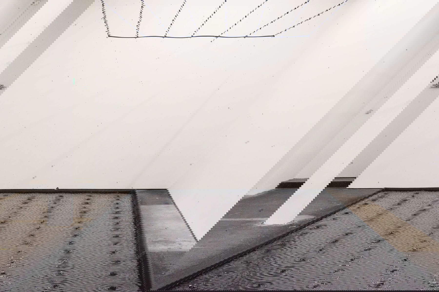 Belu-Simion Finaru, Rose of nothingness (2015; water, black dye, irrigation system, tub, 550 x 1100 x 300 cm). Photo: Art Basel