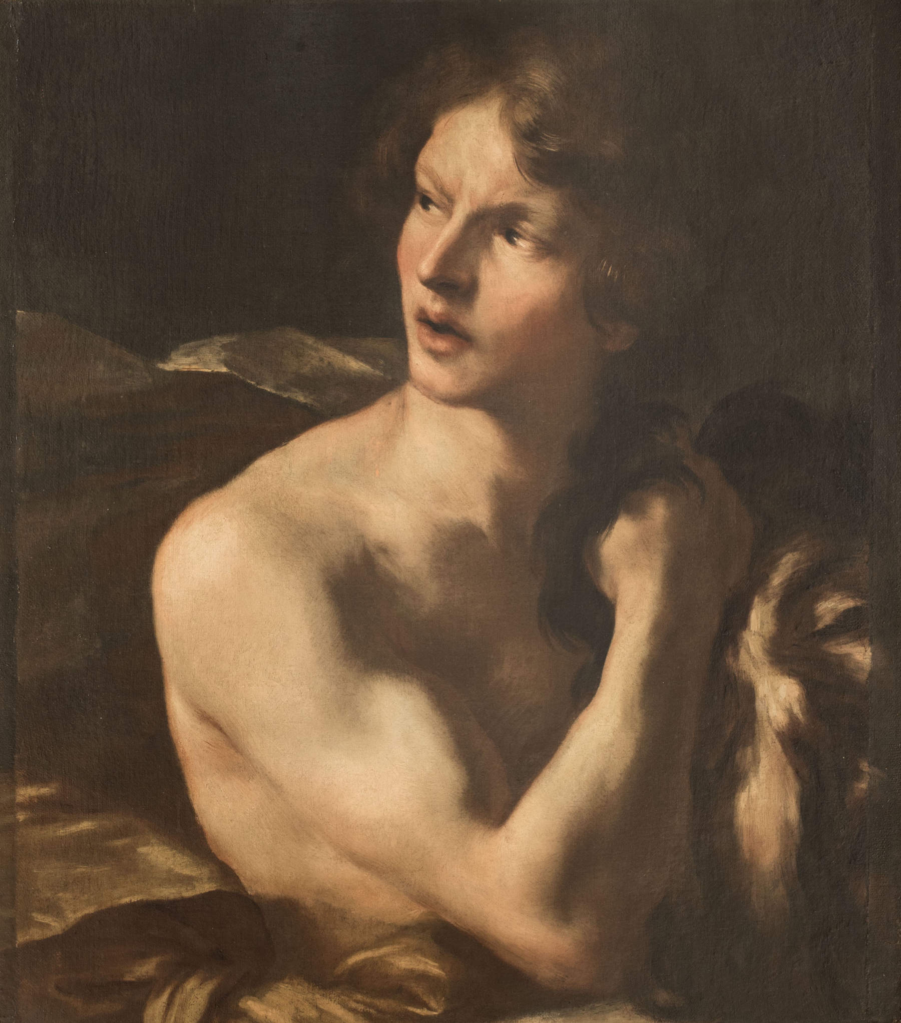 Gian Lorenzo Bernini, David avec la tête de Goliath (vers 1623 ; huile sur toile ; Rome, MiC - Galeries nationales d'art ancien - Bibliotheca Hertziana, Institut Max Planck d'histoire de l'art/Enrico Fontolan)