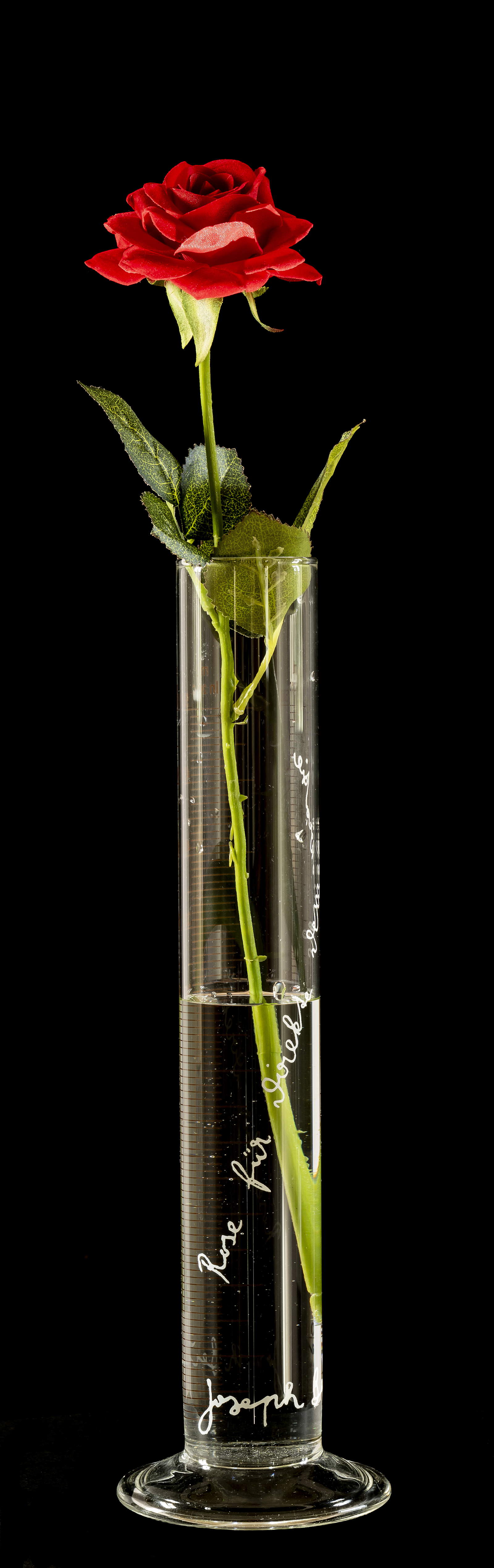 Joseph Beuys, Eine Rose fur direkte Demokratie (Rosa per la democrazia diretta) (1968; rosa in cilindro di vetro graduato, con iscrizione, 25,5 x 5 cm; Collezione privata)