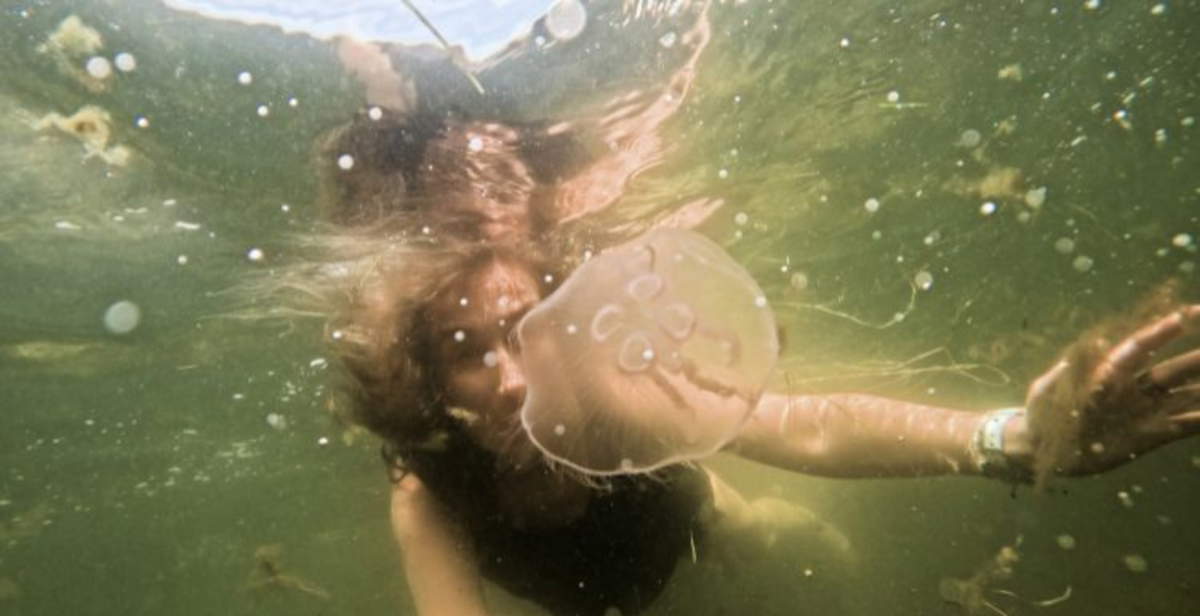 Poland at Venice Biennale 2026 brings installation on listening to marginalized languages