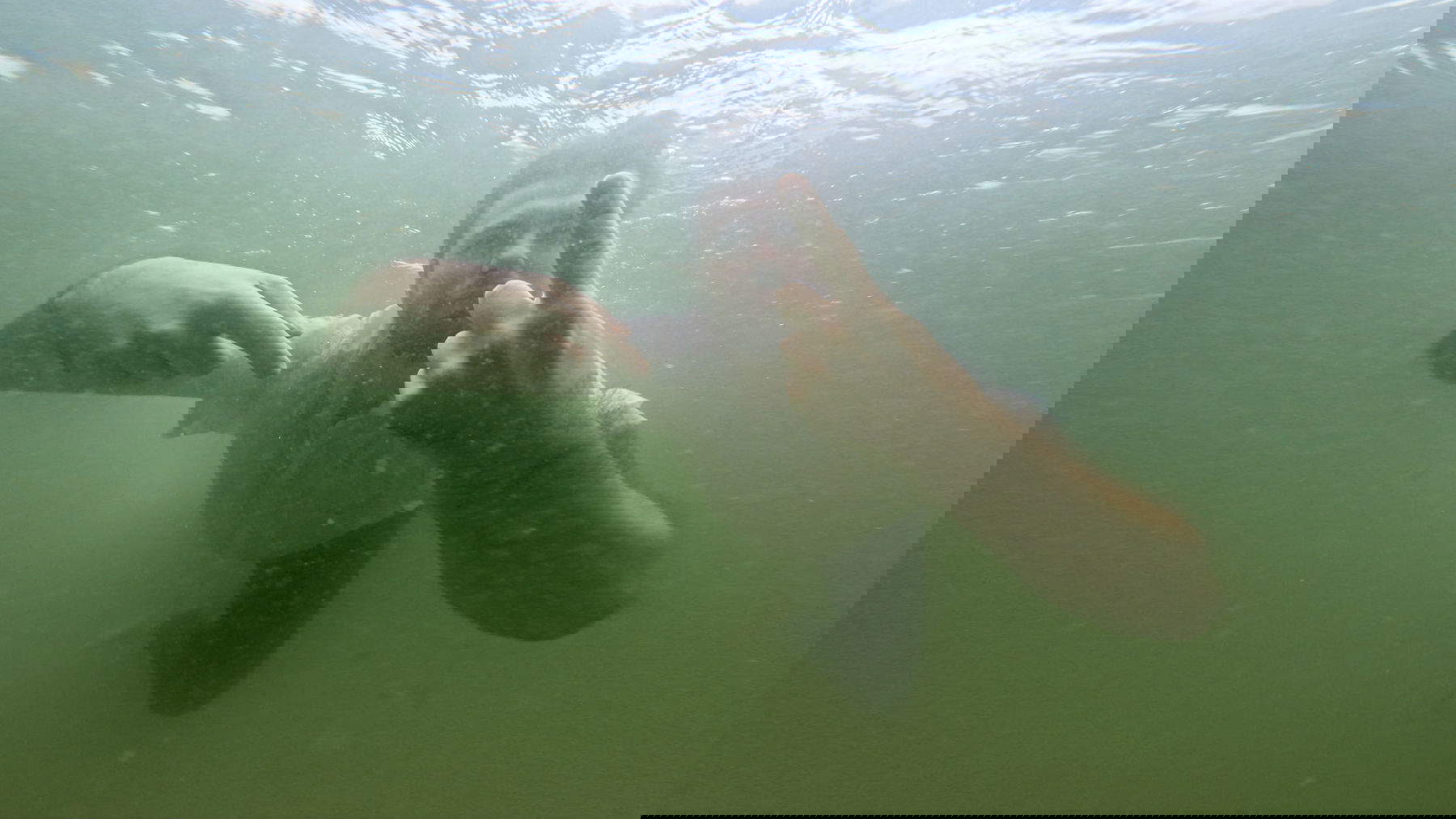 Video sketches - Bogna Burska, video sketches for 