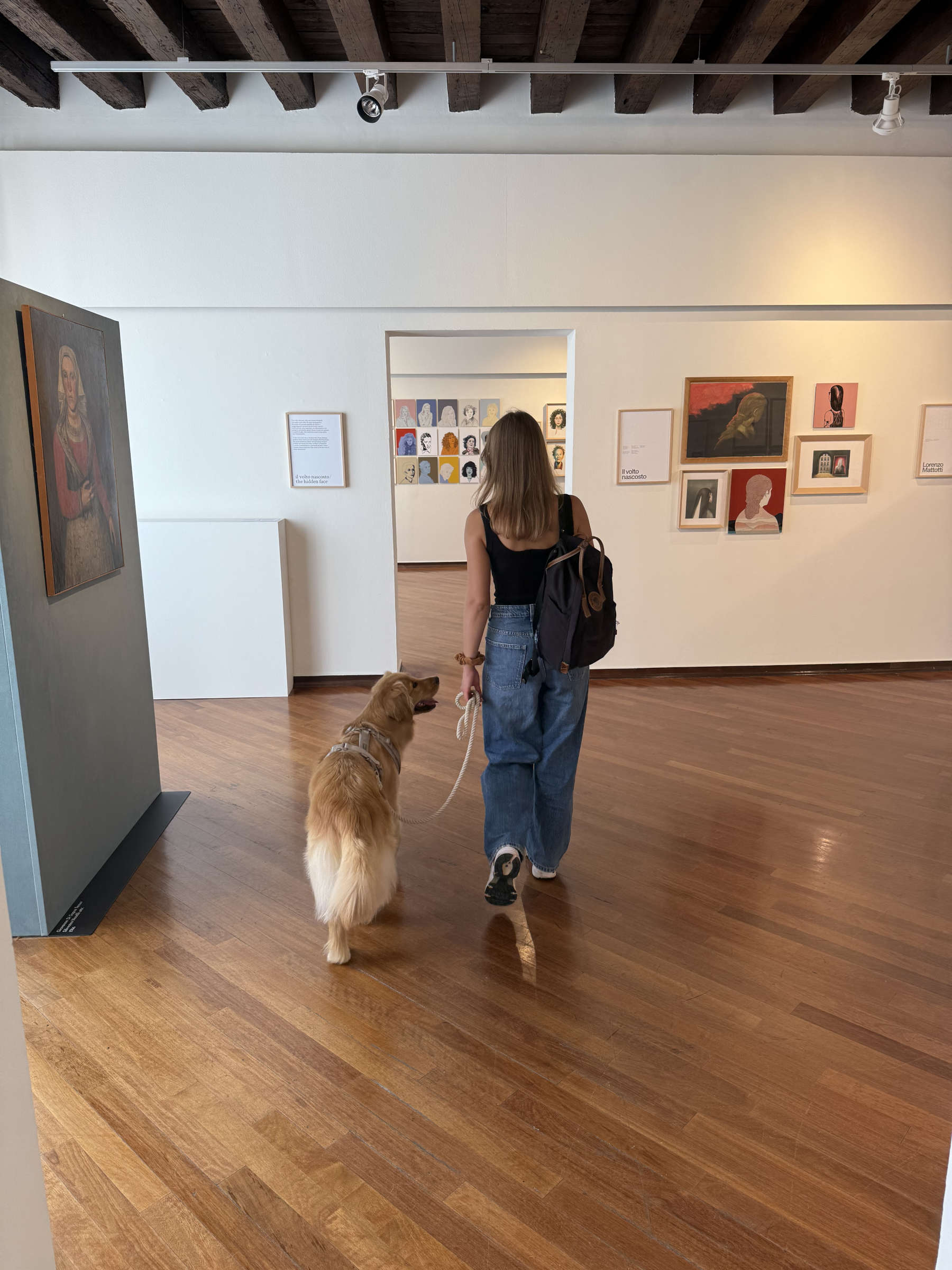 Cani al museo in Friuli-Venezia Giulia