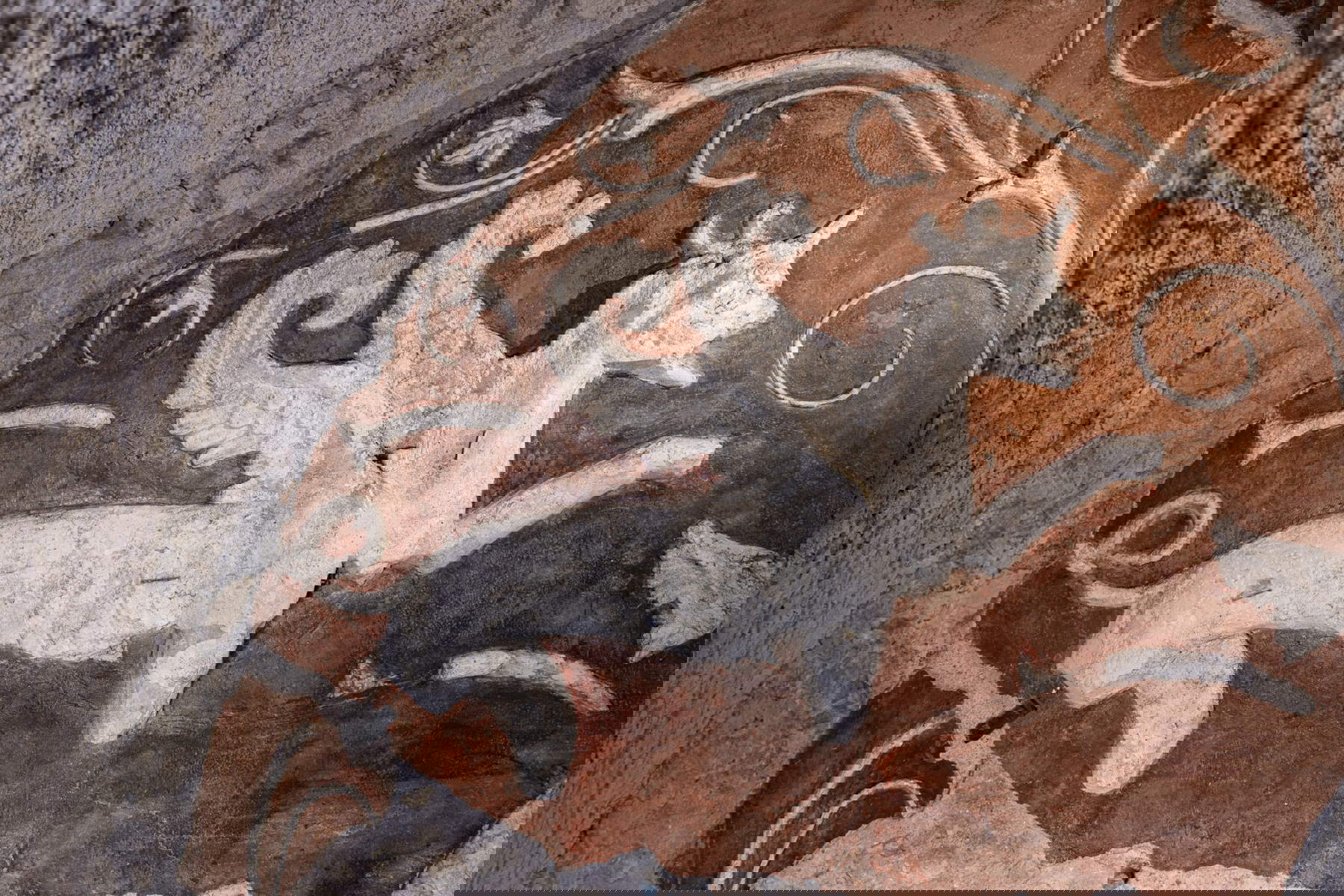 Archäologischer Park Kolosseum, Haus der Greifen. Detail der Stucklünette mit Greif. Foto: Simona Murrone