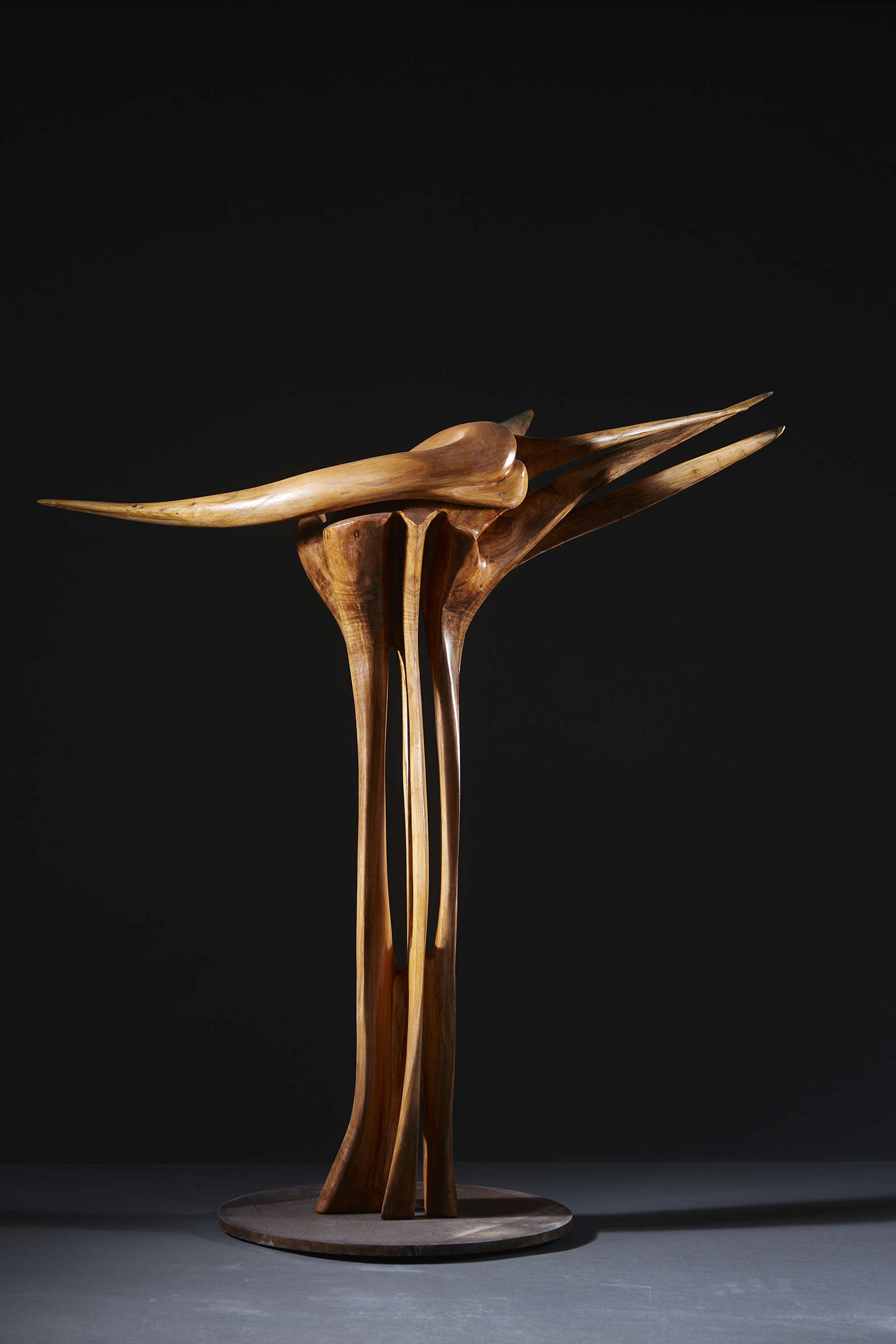 Pablo Atchugarry, Enchanted Forest II (2024; olive wood, iron support metal disk, 106 x 60 x 106 cm). Courtesy of Contini Art Gallery