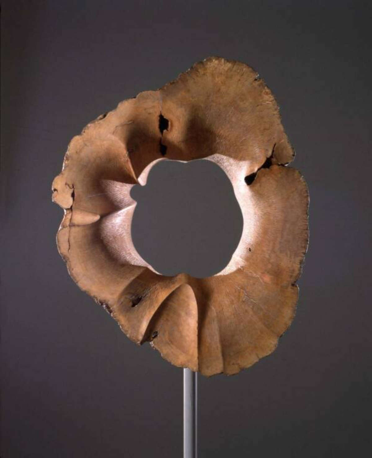 Cesare Benaglia, Grande buco (1996; legno di rovere, 71 x 52 x 192 cm)