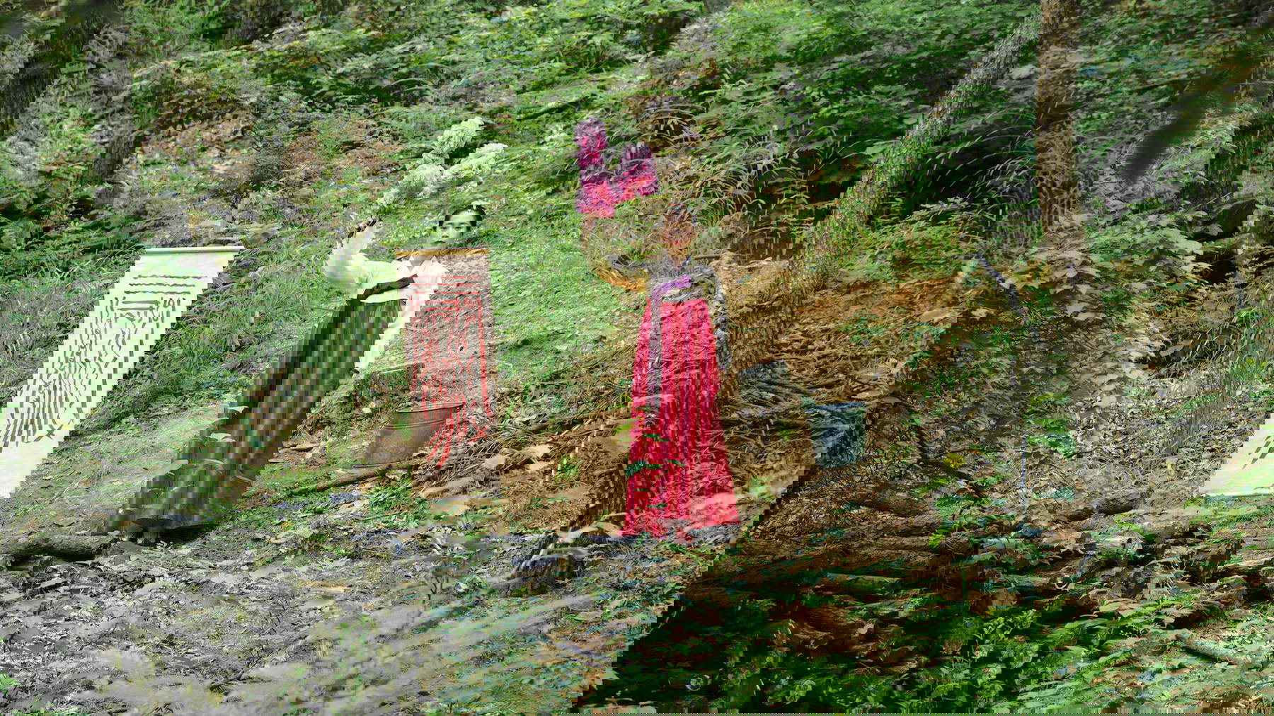 Chan-Kyong Park, Photogram from Citizen's Forest (2016) &copy; Chan-Kyong Park