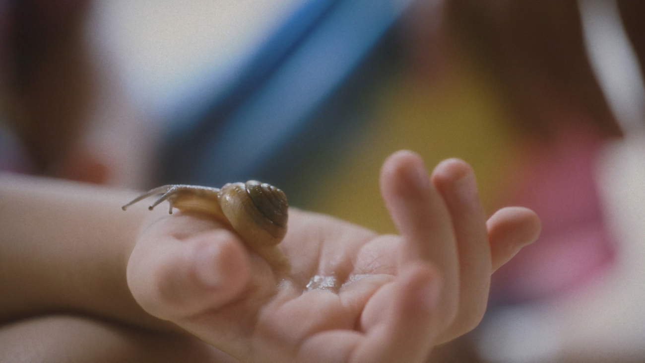Charmaine Poh, « Ce qu&rsquo;il y a de plus doux au monde se précipite et envahit ce qu&rsquo;il y a de plus dur au monde » (2024 ; vidéo numérique ; 14 min 30 s) &copy; Charmaine Poh