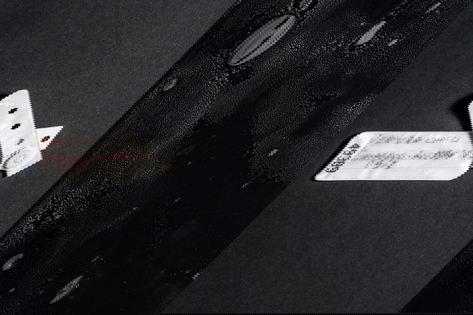 Chiara Ventura, Now I Remember You - detail (2022; mix media; 50 x 45 cm) Photo: Nicola Massella