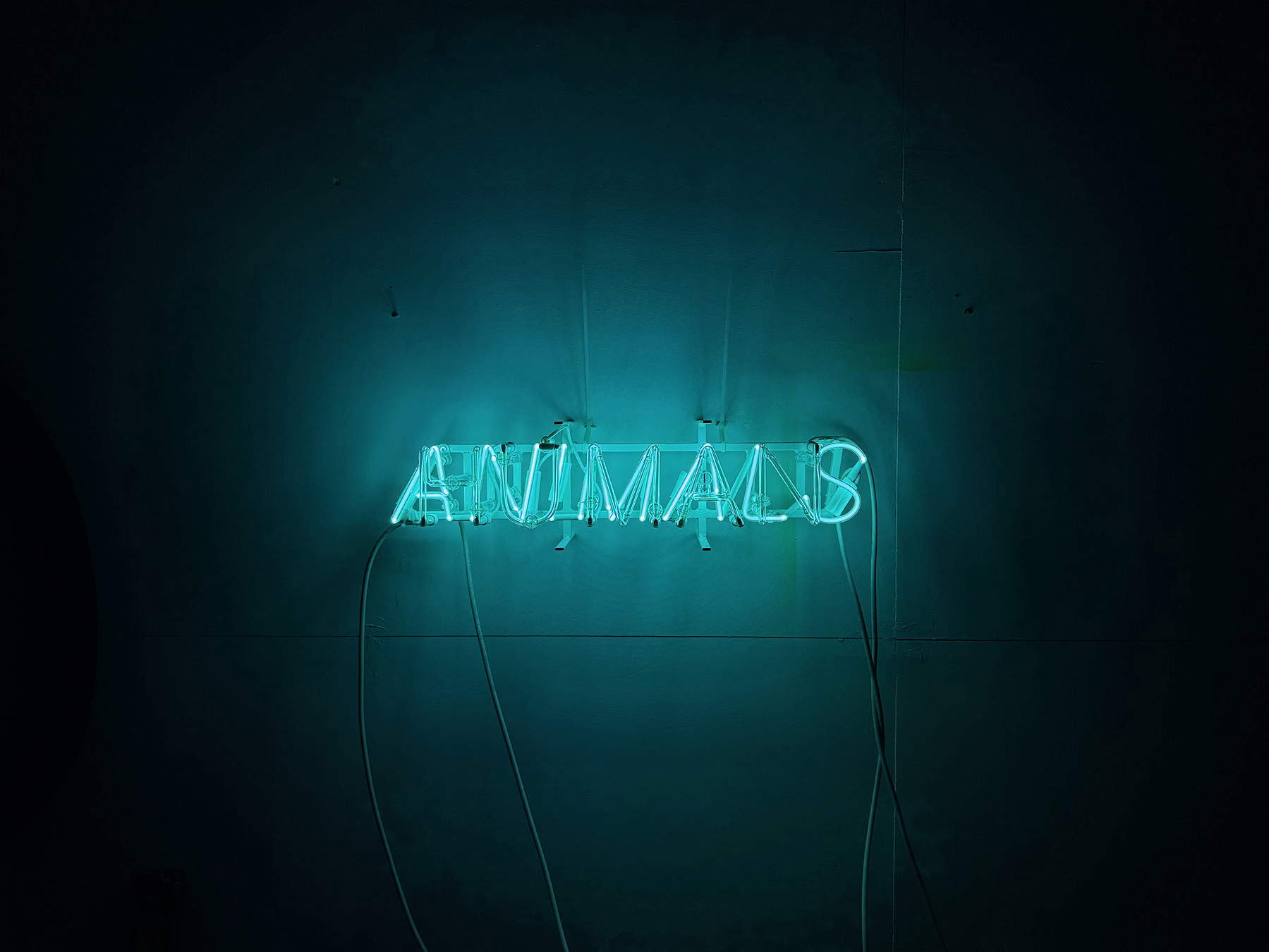 Claire Fontaine, Human Animals (2024; Neon- und Argonröhre, Struktur, Animator und Transformatoren, 16 x 60 x 20 cm). Foto: Fausto Brigantino &copy; Studio Claire Fontaine, mit freundlicher Genehmigung von Claire Fontaine