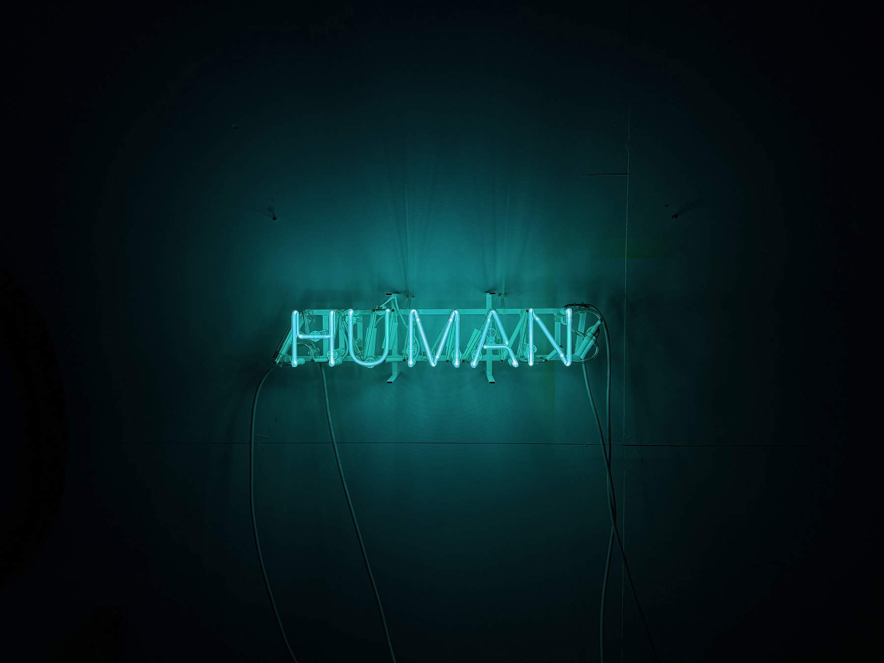 Claire Fontaine, Human Animals (2024; Neon- und Argonröhre, Struktur, Animator und Transformatoren, 16 x 60 x 20 cm). Foto: Fausto Brigantino &copy; Studio Claire Fontaine, mit freundlicher Genehmigung von Claire Fontaine