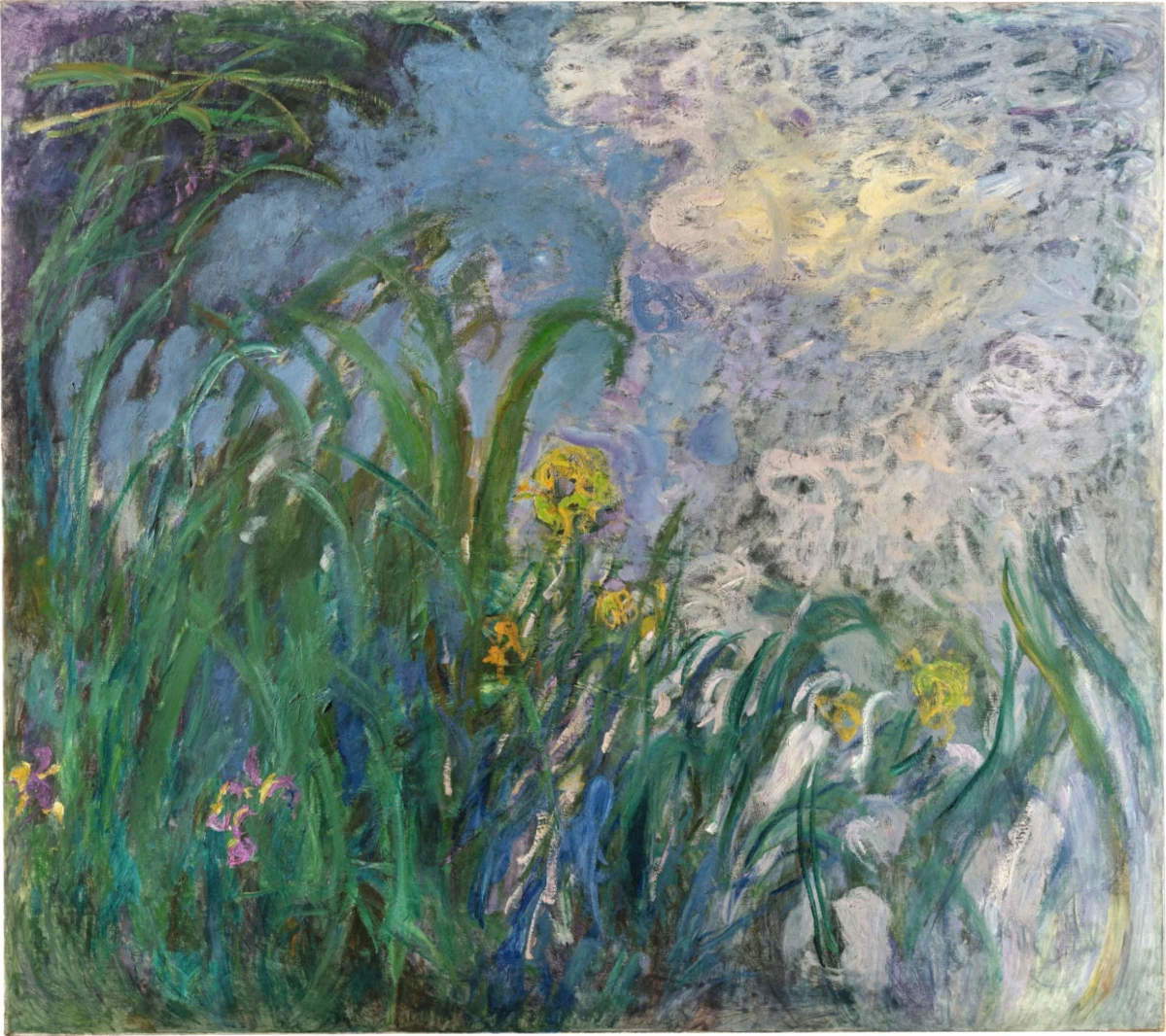 Claude Monet, Iris (1924-1925). Foto: Sotheby&rsquo;s
