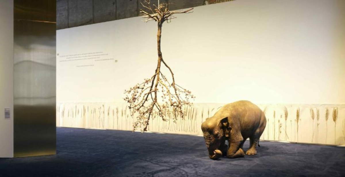 At MAXXI in Rome, an exhibition investigates St. Francis in contemporary art