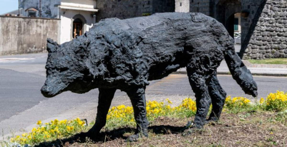 In Piancastagnaio (Siena), Davide Rivalta’s wolves call the Rocca Aldobrandesca home