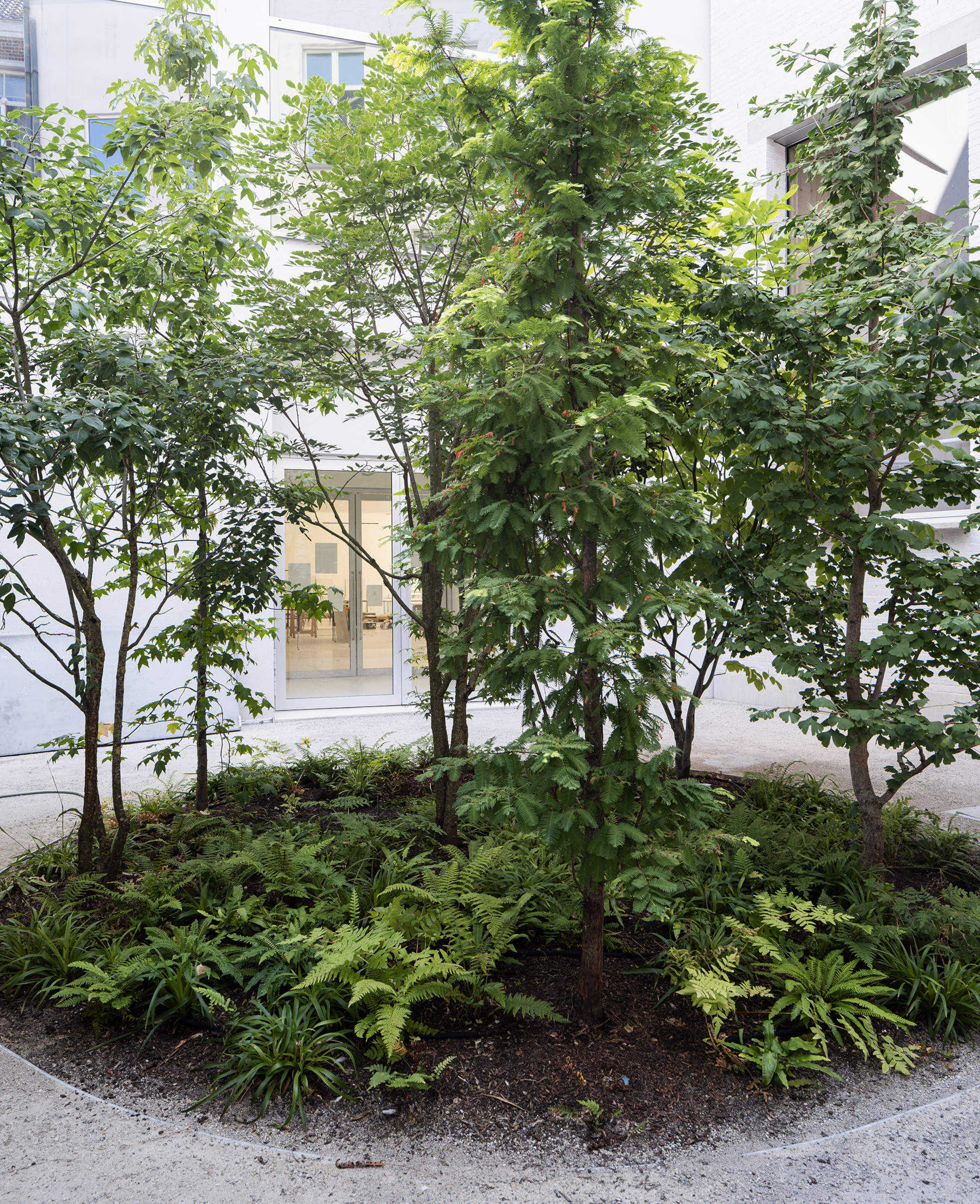 Design Museum Gent &mdash; Special Design Project, Bas Smets, Pocket Garden. Foto &copy; Michiel De Cleene per Design Museum Gent.