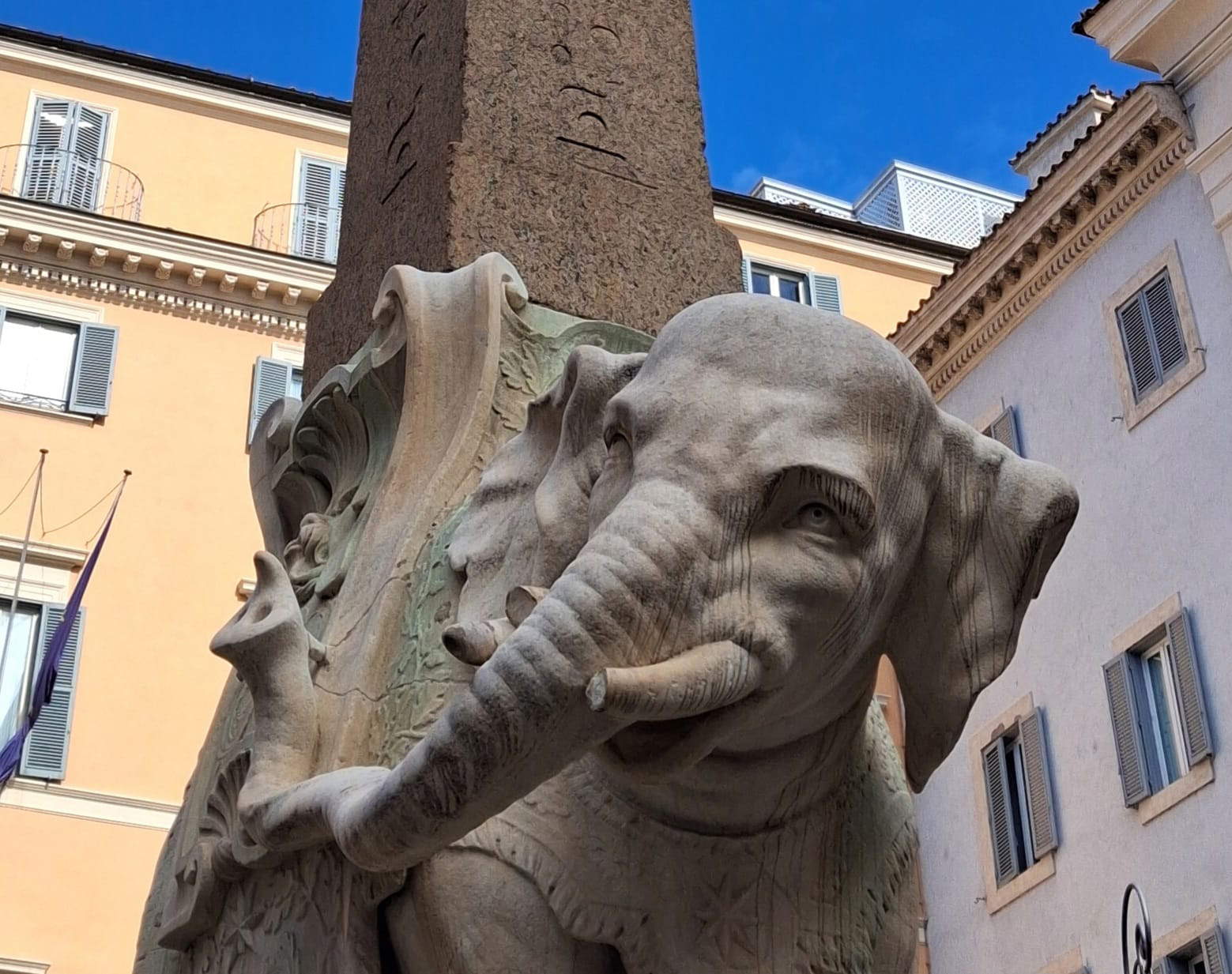 The damaged little elephant