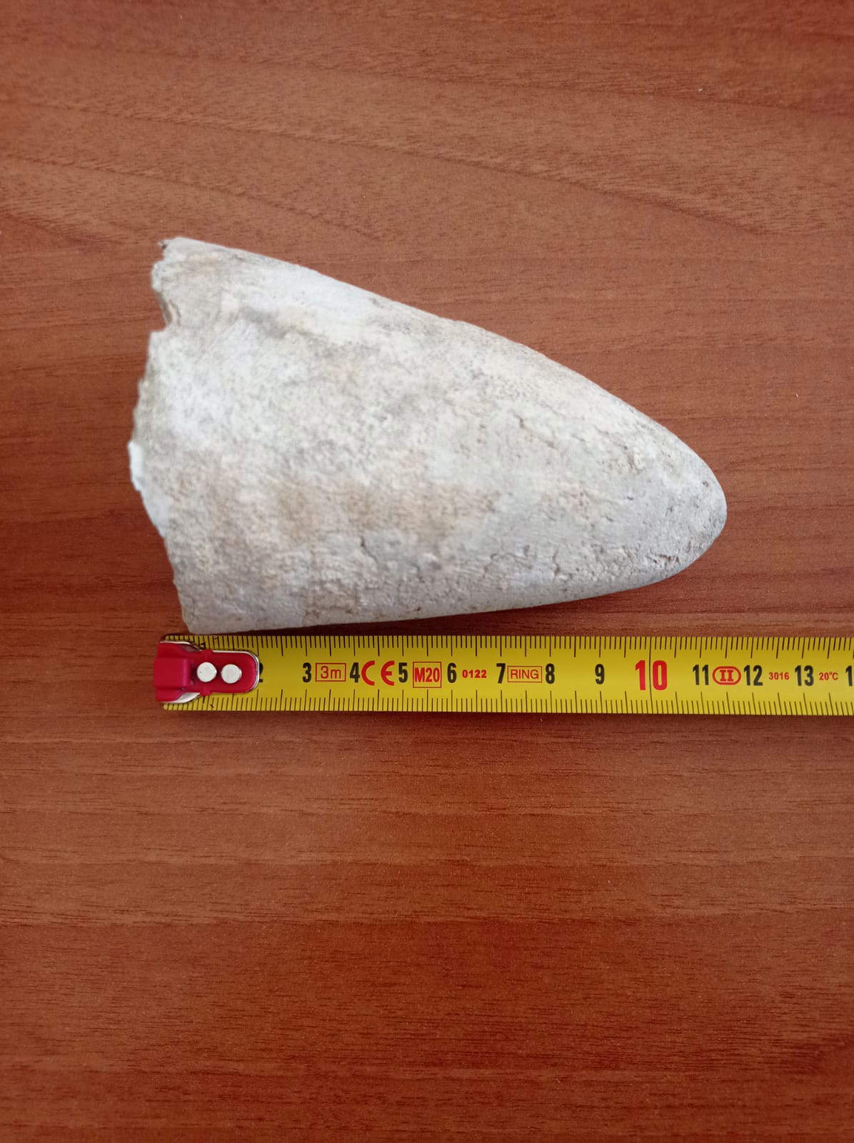 The damaged little elephant