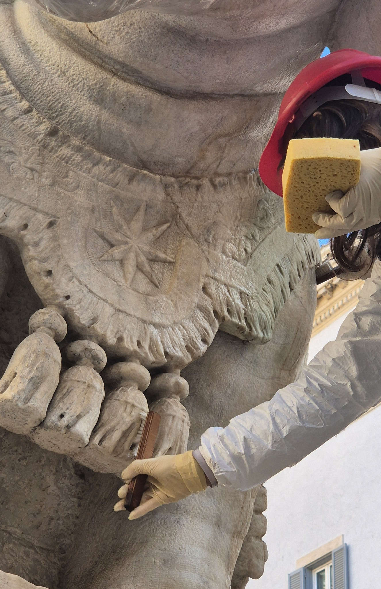 Intervention on the little elephant at the Minerva