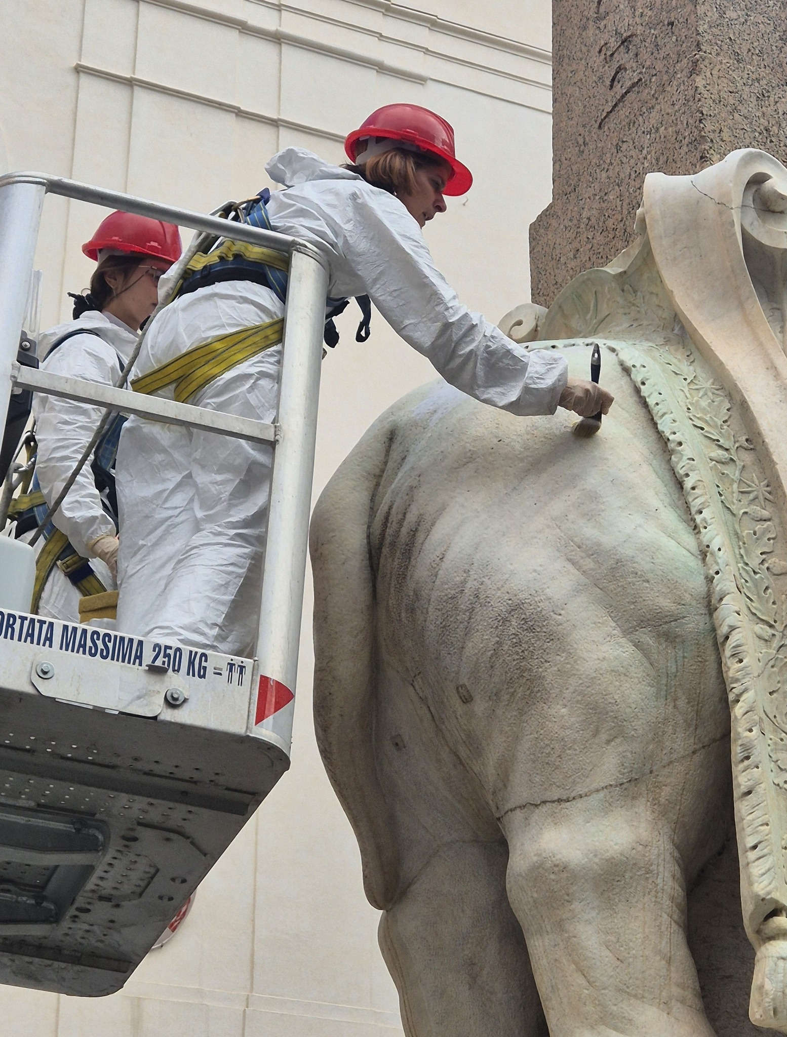 Intervention on the little elephant at the Minerva