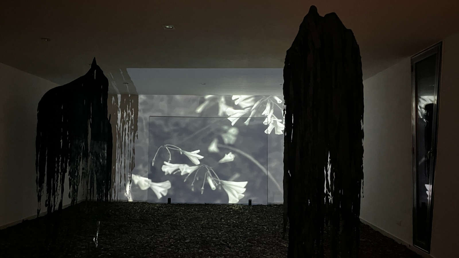 Eleonora Desole, Visions call to an empty night.