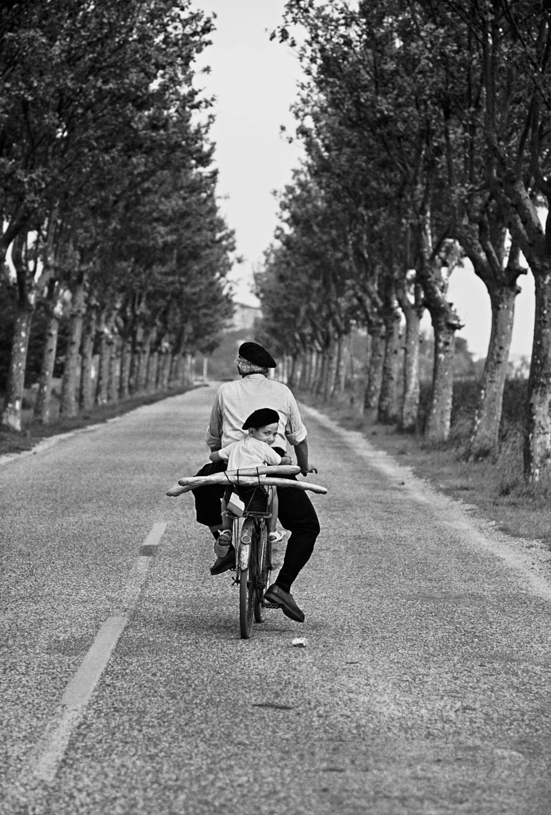 Elliott Erwitt, France, Provence (1955) &copy; Elliott Erwitt