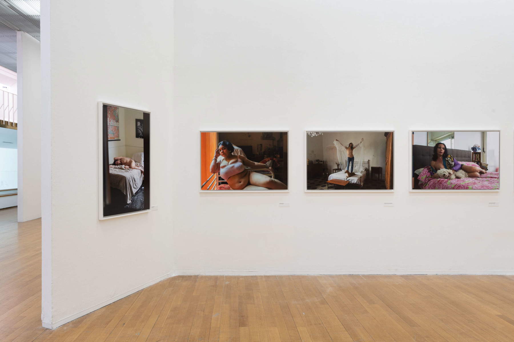 Allestimenti della mostra. Foto: Lorenzo Palmieri
