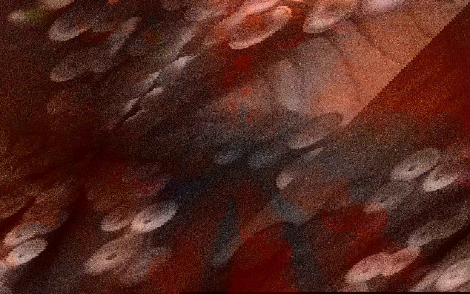 Young Italian Photography 2026: seven finalists under 35 selected for Luigi Ghirri Prize