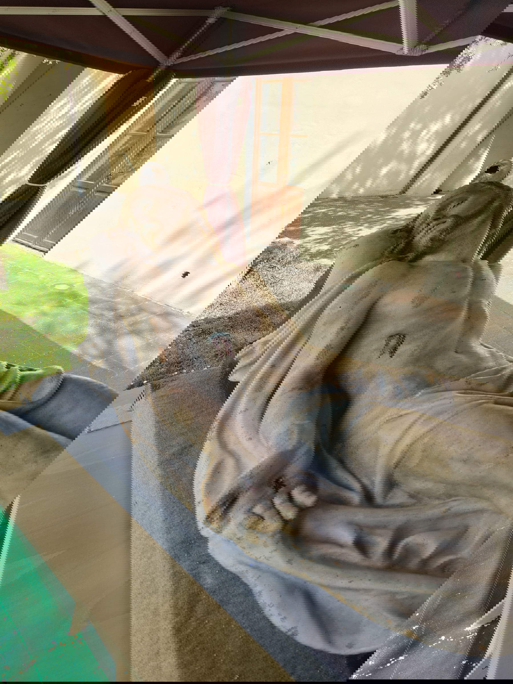 Le Christ mort par Ferrante Zambini restauré