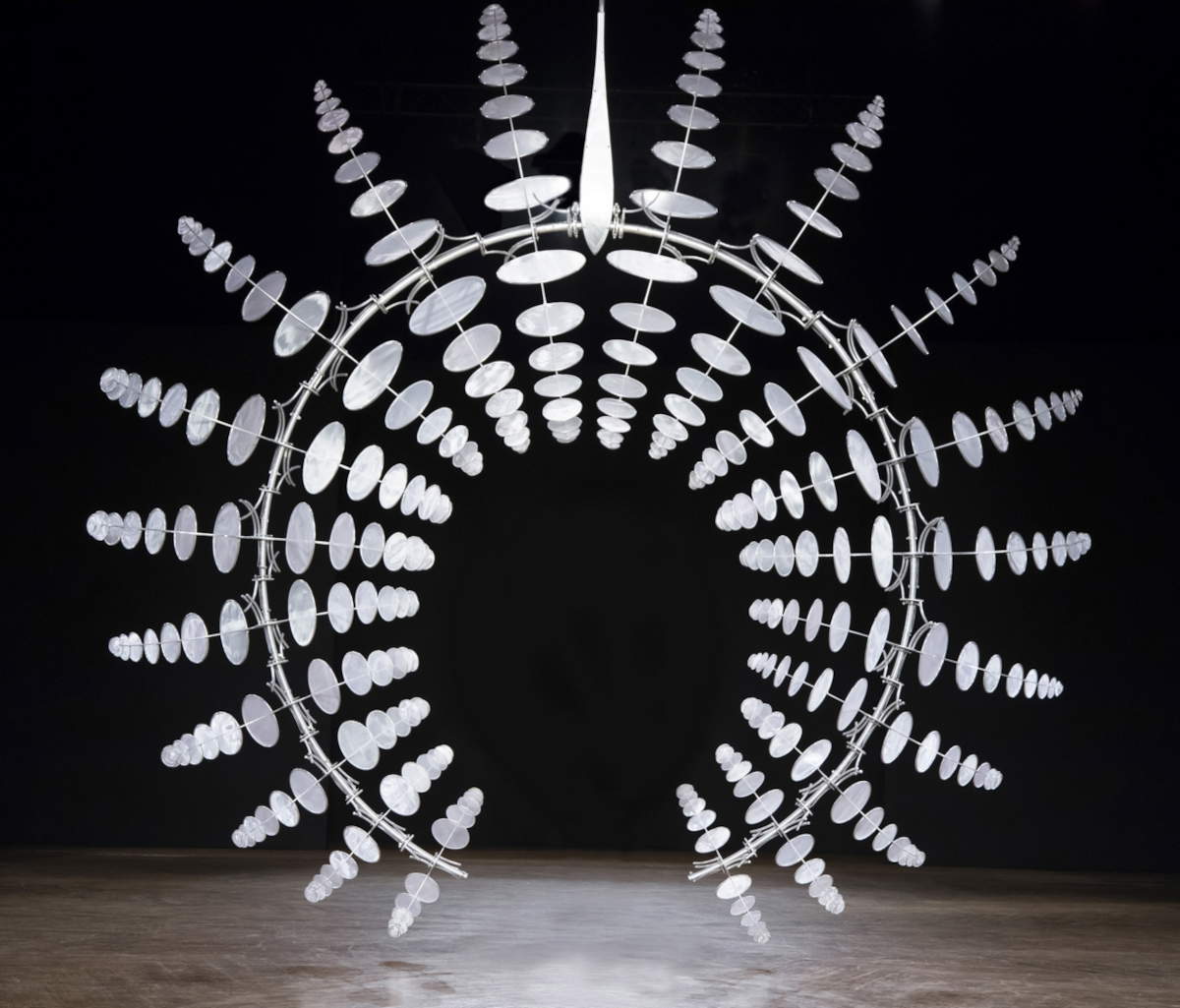 Anthony Howe, Omniverse