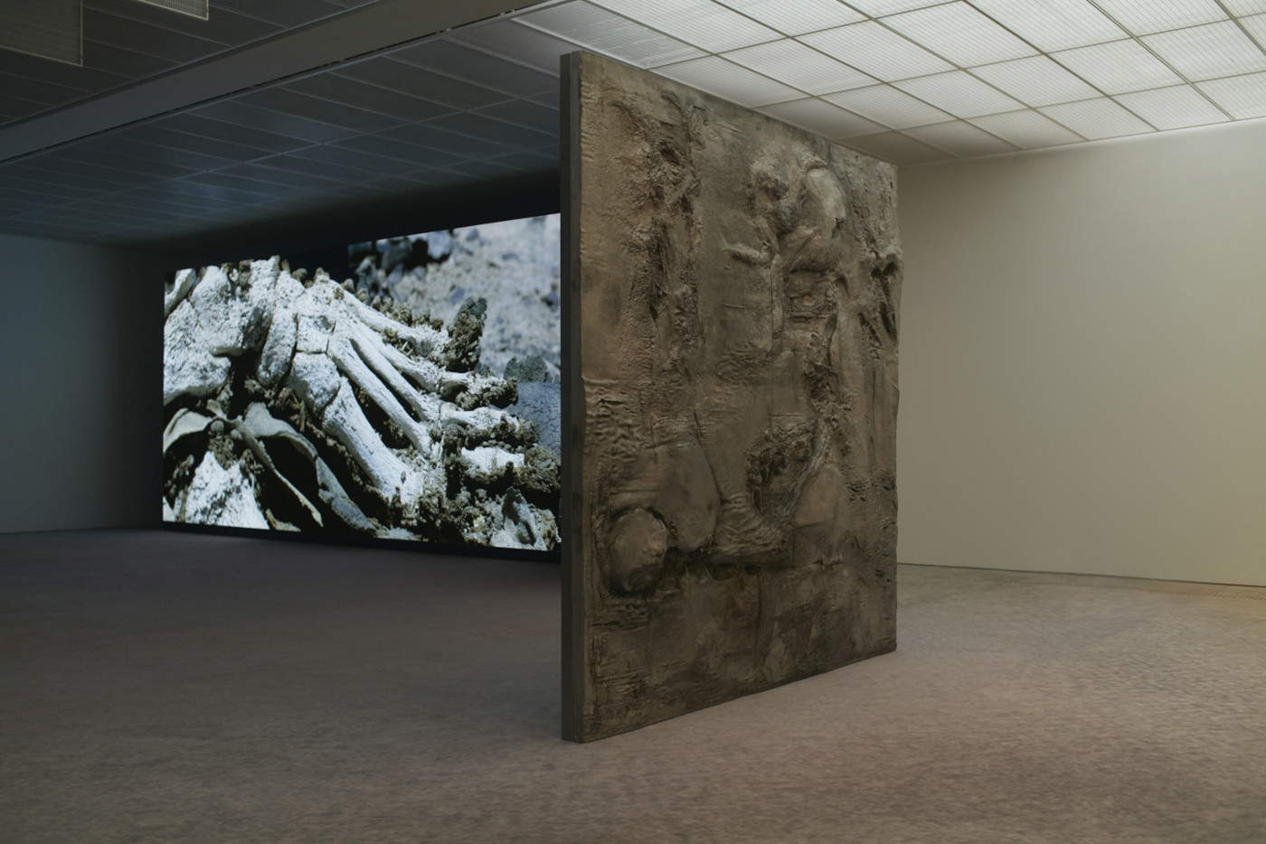 Inszenierung der Pierre Huyghe-Ausstellung in der Fondation Beyeler, Riehen/Basel, 2026. Foto: Ola Rindal