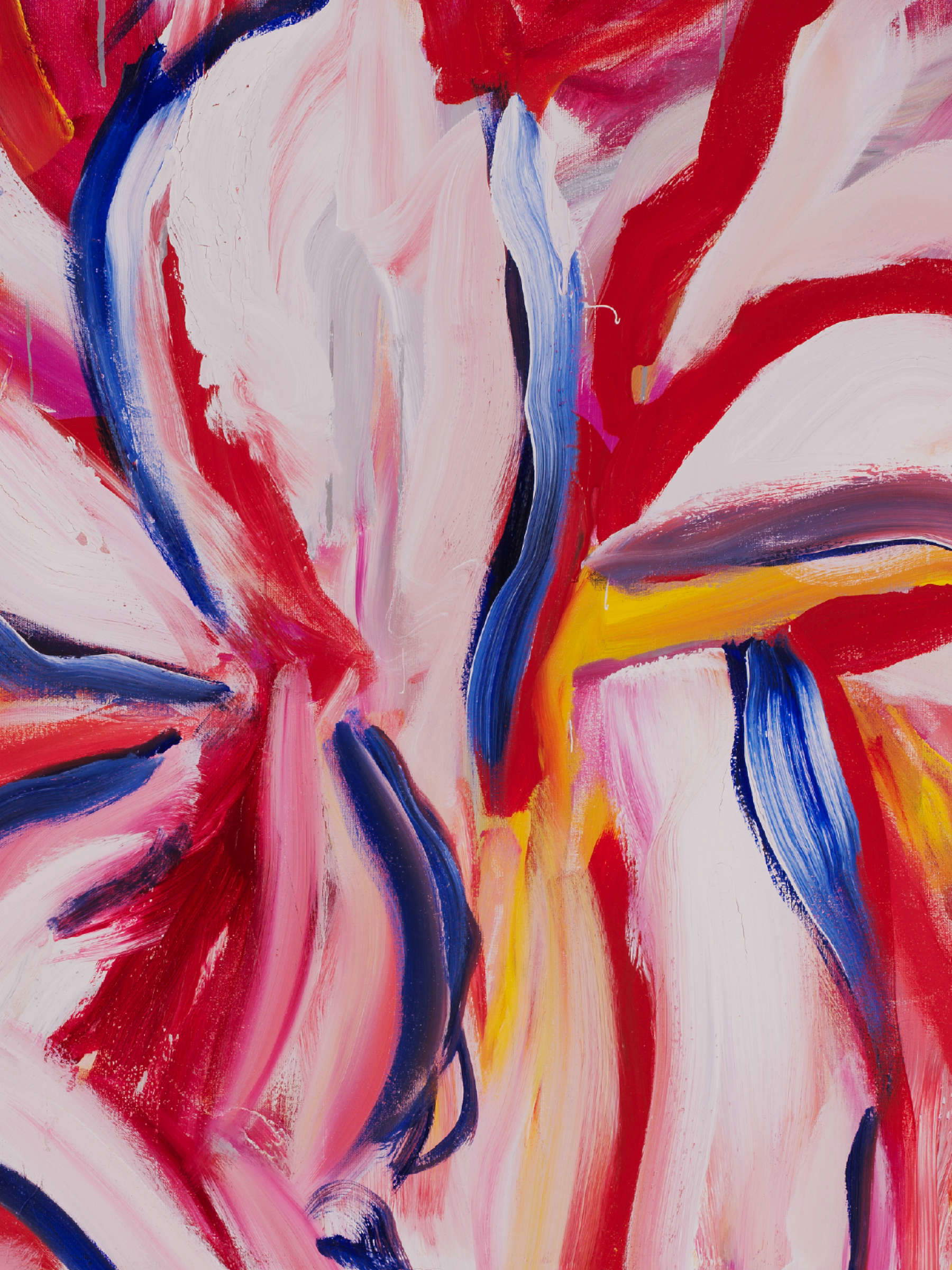 Peintures de Fran&ccedil;ois Reboul. Photos : Jean Porcel Studio