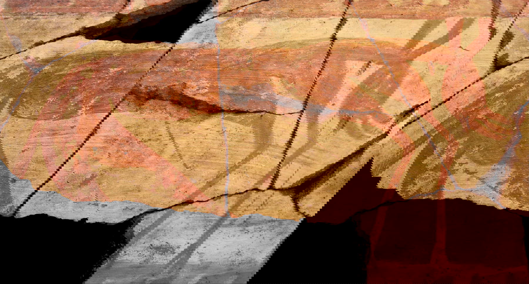 Pithos D, frammenti con figura di animale