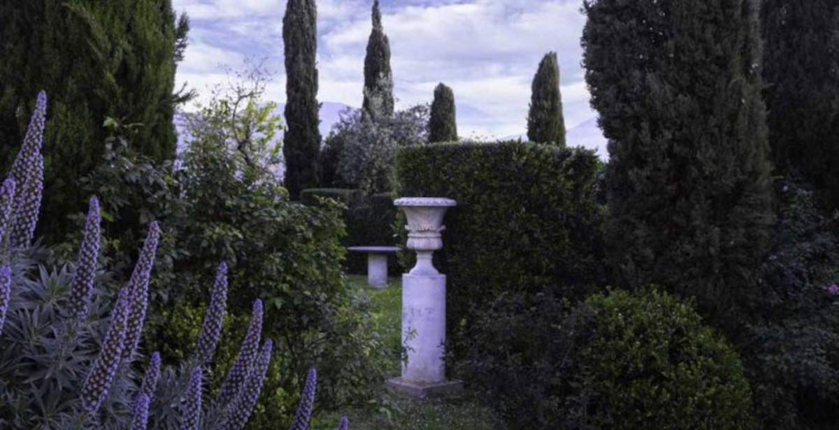 Villa delle Rose in Gaeta reopens with more than 150 species of rare palms