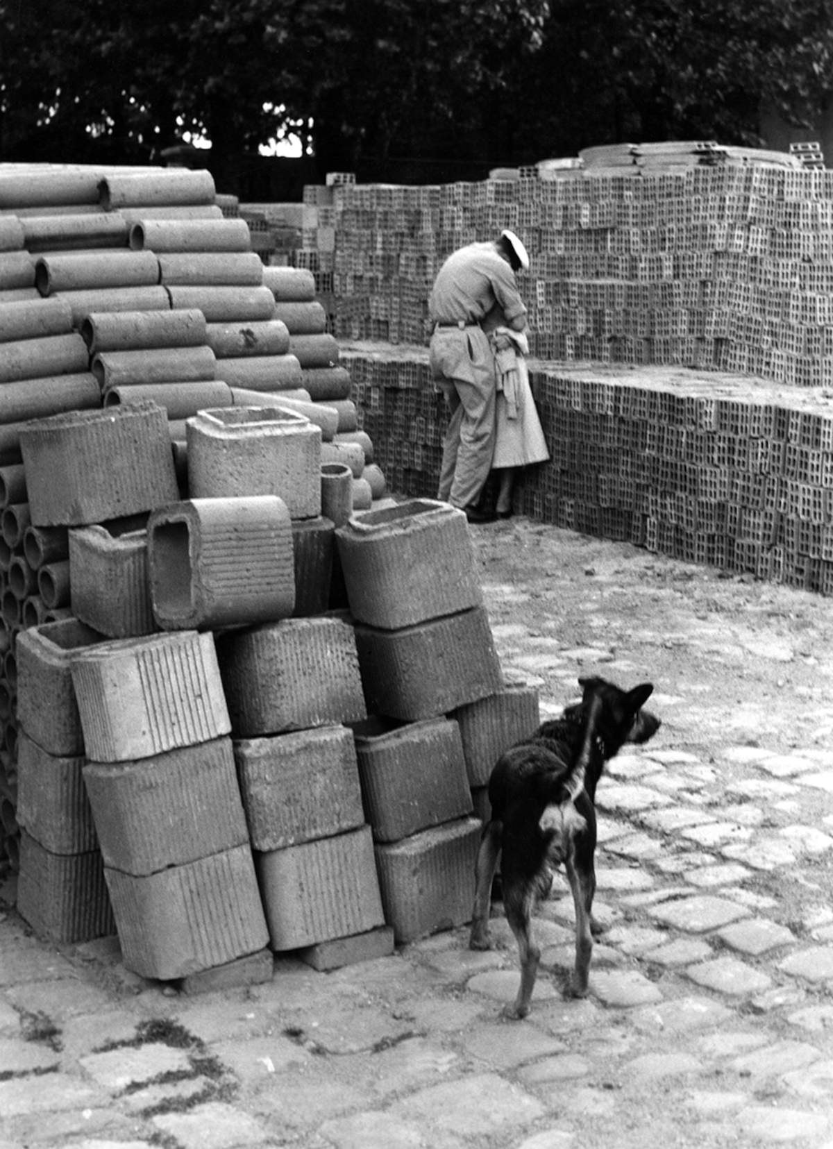 Gianni Berengo Gardin, I cani ci guardano (1954) &copy; Eredi Gianni Berengo Gardin