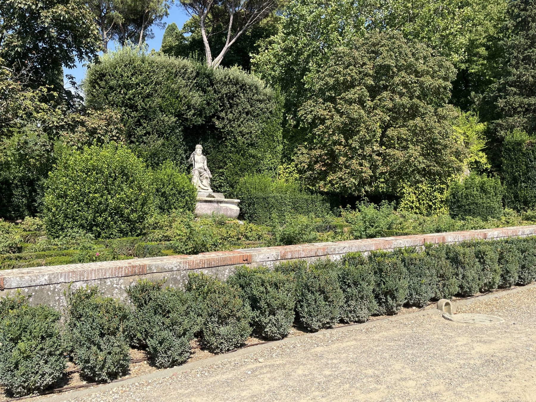 Boboli Gardens - New Plants