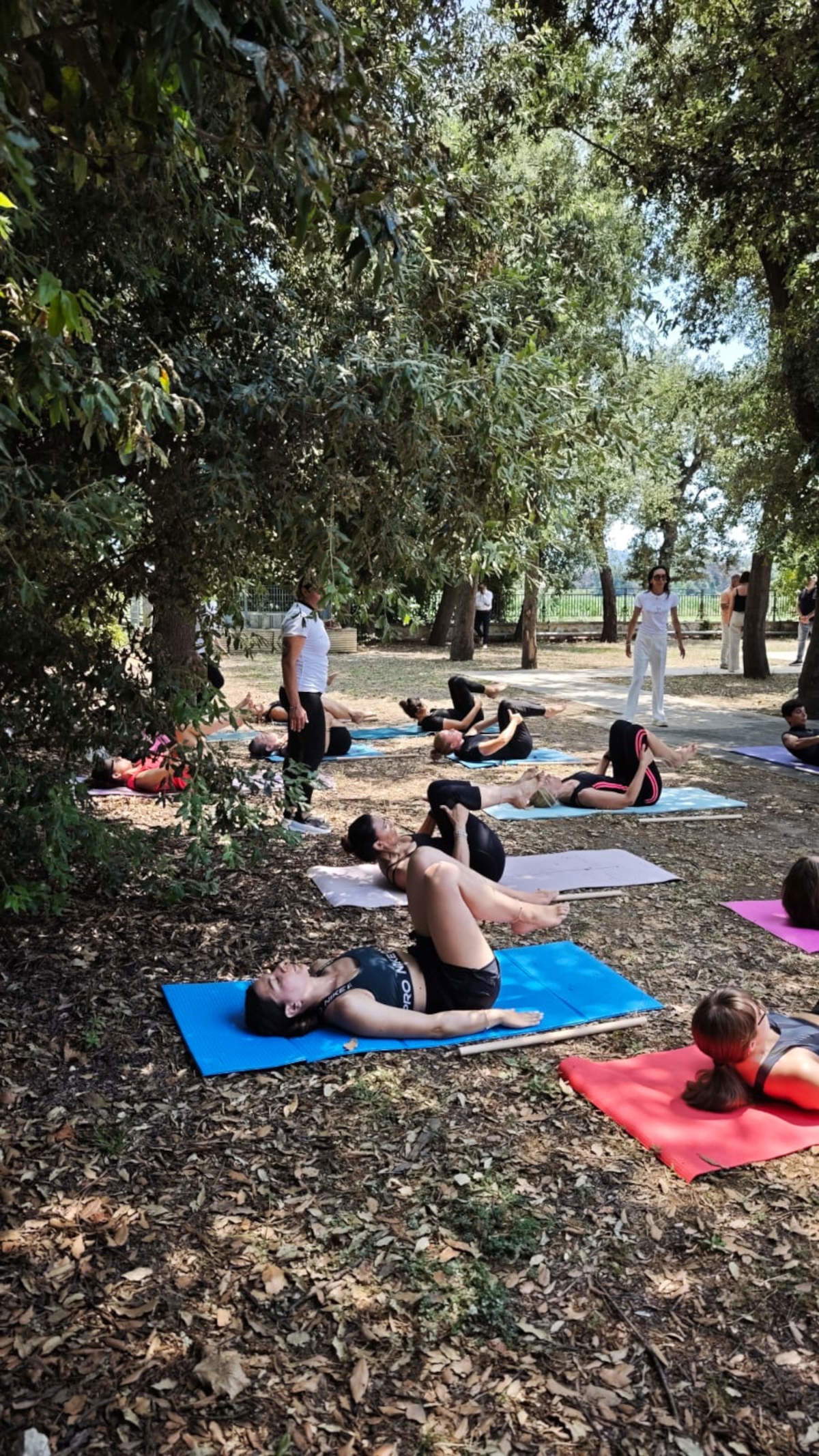 Journée de présentation « Le bien-être est une œuvre d'art »